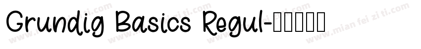 Grundig Basics Regul字体转换